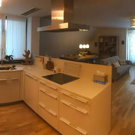 Appartement President Apartma 180m2 Garage 2x Prague